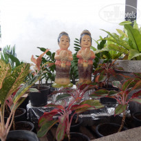 фото из отзыва ID 1602021