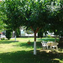 фото из отзыва ID 1602061