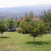 фото из отзыва ID 1602061