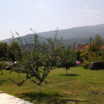 фото из отзыва ID 1602061