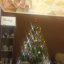 фото из отзыва ID 1602105