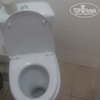 фото из отзыва ID 1602335