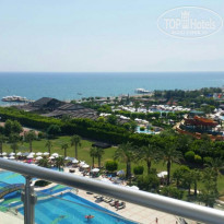 фото из отзыва ID 1602398