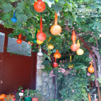 фото из отзыва ID 1602464