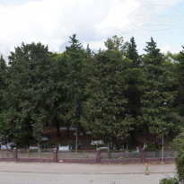 фото из отзыва ID 1602476