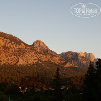 фото из отзыва ID 1602476