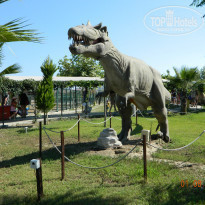 фото из отзыва ID 1602534