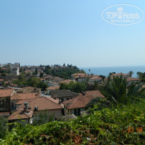 фото из отзыва ID 1602534