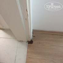 фото из отзыва ID 1602548