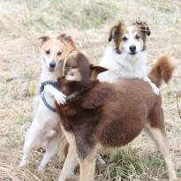 фото из отзыва ID 1602562