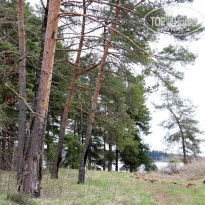 фото из отзыва ID 1602562