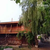 фото из отзыва ID 1602619