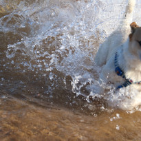 фото из отзыва ID 1602619