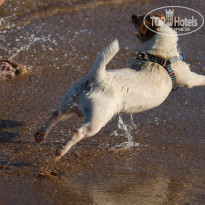 фото из отзыва ID 1602619