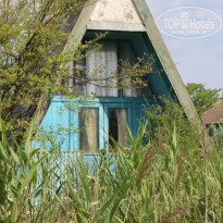 фото из отзыва ID 1602619