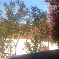 фото из отзыва ID 1602733