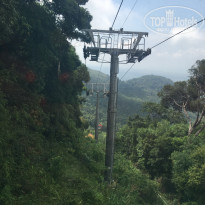 фото из отзыва ID 1602841