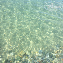 фото из отзыва ID 1602866