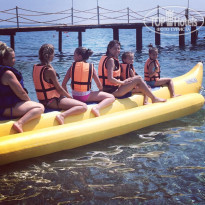 фото из отзыва ID 1602905