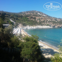 фото из отзыва ID 1603246