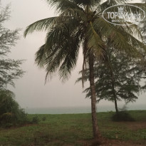 фото из отзыва ID 1603247