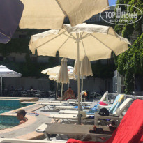 фото из отзыва ID 1603325