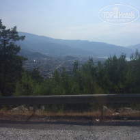 фото из отзыва ID 1603480