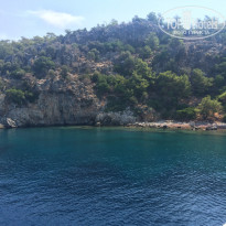 фото из отзыва ID 1603480