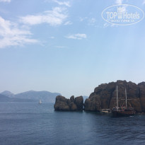 фото из отзыва ID 1603480