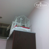 фото из отзыва ID 1603602