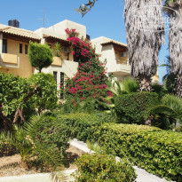 фото из отзыва ID 1602514