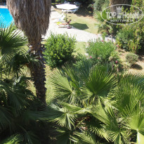 фото из отзыва ID 1602514