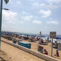 фото из отзыва ID 1603881