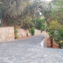 фото из отзыва ID 1603975