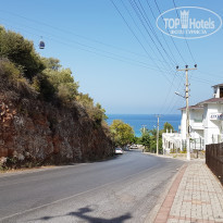 фото из отзыва ID 1603975