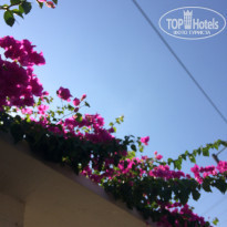 фото из отзыва ID 1604214