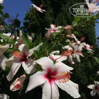 фото из отзыва ID 1604214