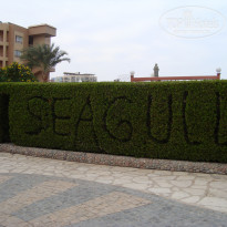 фото из отзыва ID 1604268