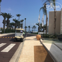 фото из отзыва ID 1603476