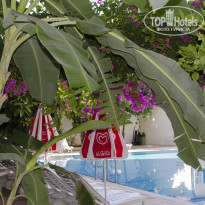 фото из отзыва ID 1604279