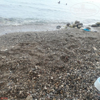 фото из отзыва ID 1604563