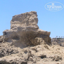 фото из отзыва ID 1604672