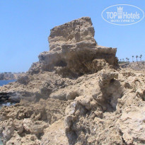 фото из отзыва ID 1604672