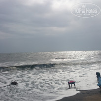 фото из отзыва ID 1604775