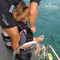 фото из отзыва ID 1604883