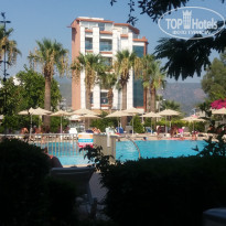 фото из отзыва ID 1604891