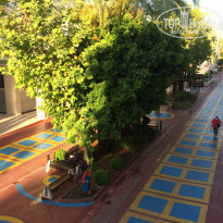 фото из отзыва ID 1605048