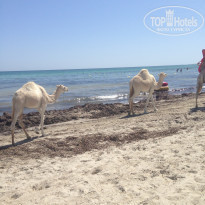 фото из отзыва ID 1605062