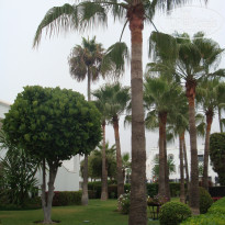 фото из отзыва ID 1605437