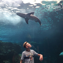 фото из отзыва ID 1605564